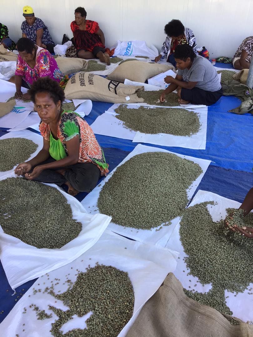 Papua New Guinea premium green coffee beans