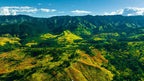 PNG Coffee Supply Chain
