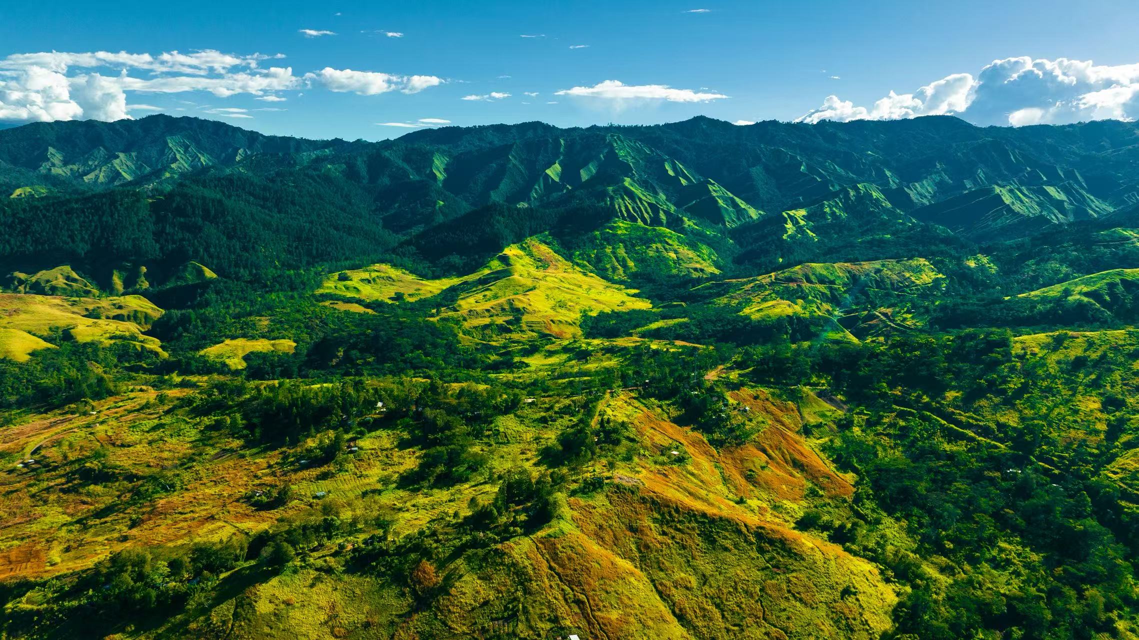 PNG Coffee Supply Chain