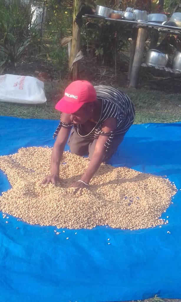 PNG Coffee Supply Chain