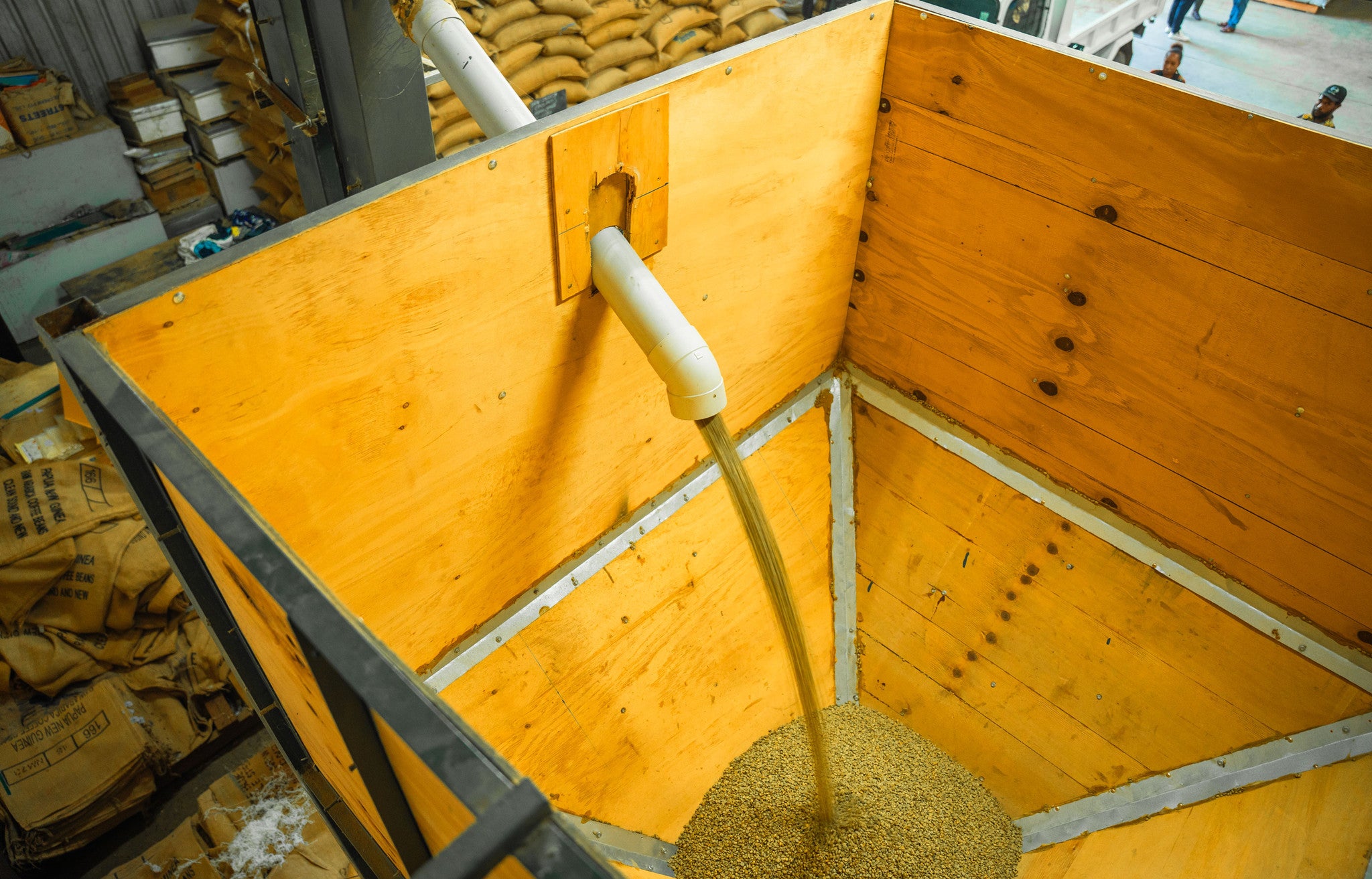 Papua New Guinea premium green coffee beans
